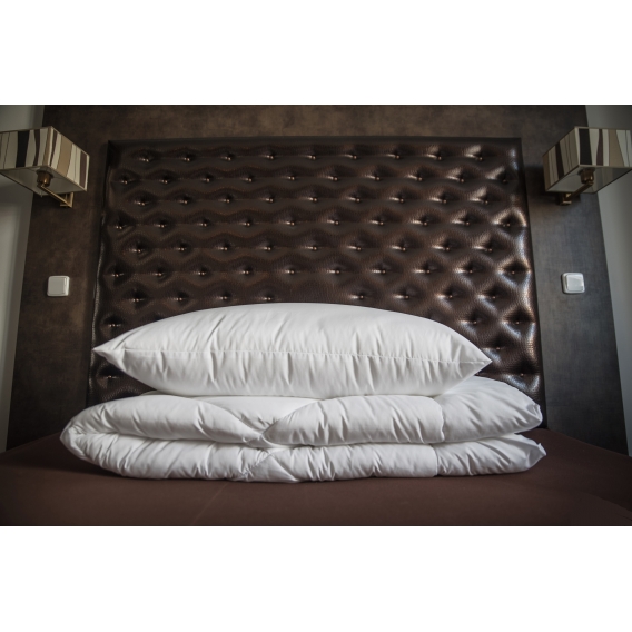 Obrázok pre Set paplón + Vankúš Excelent